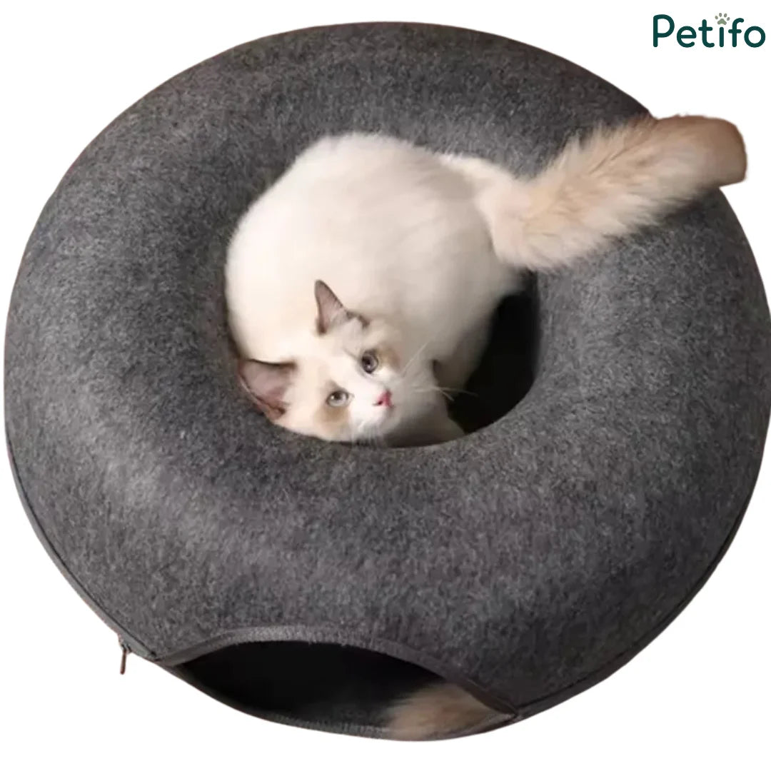 Fluffy white cat resting comfortably in the top lounge depression of a dark gray felt doughnut bed.