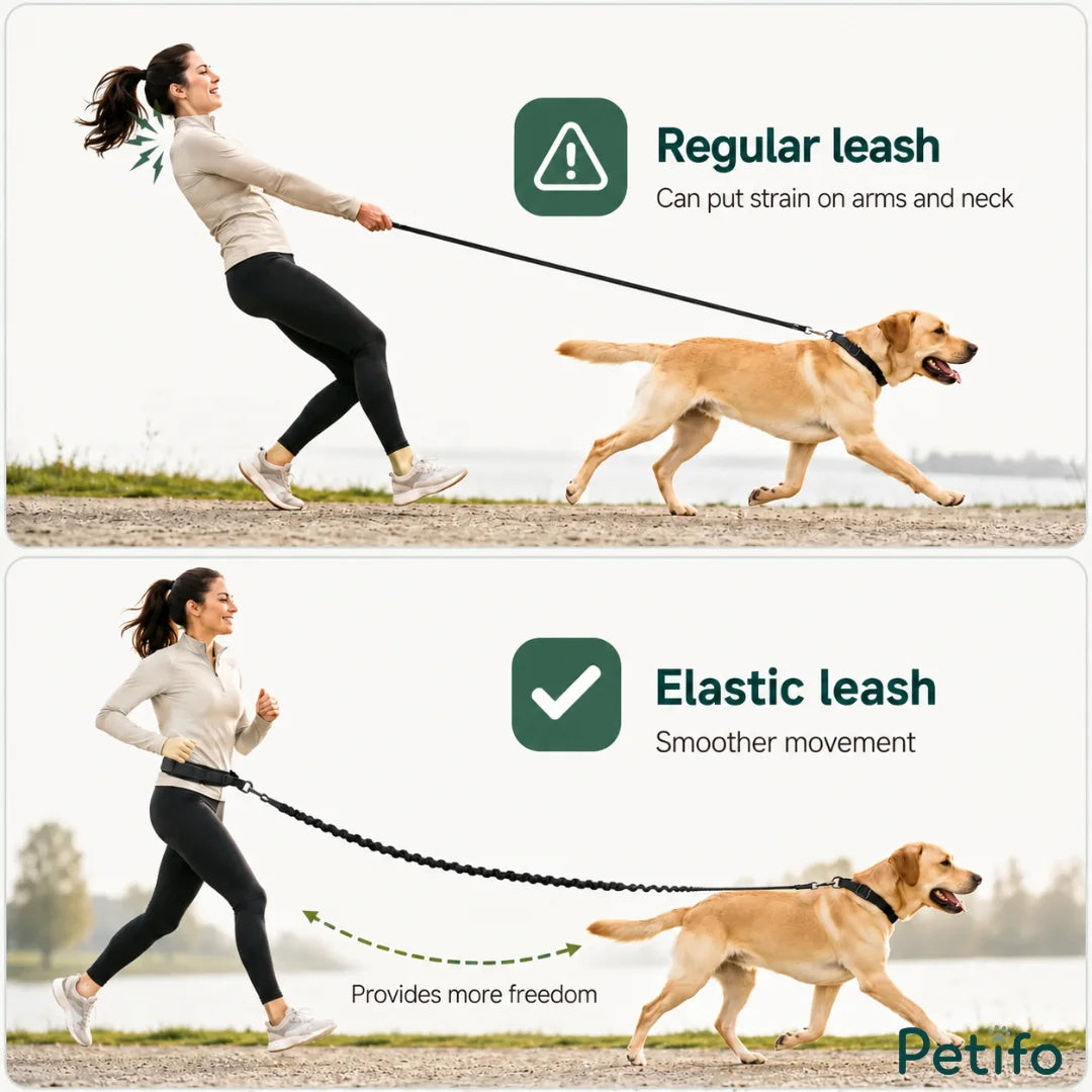 Comparison infographic illustrating how a regular leash strains the body while an elastic leash provides comfortable, smoother movement.