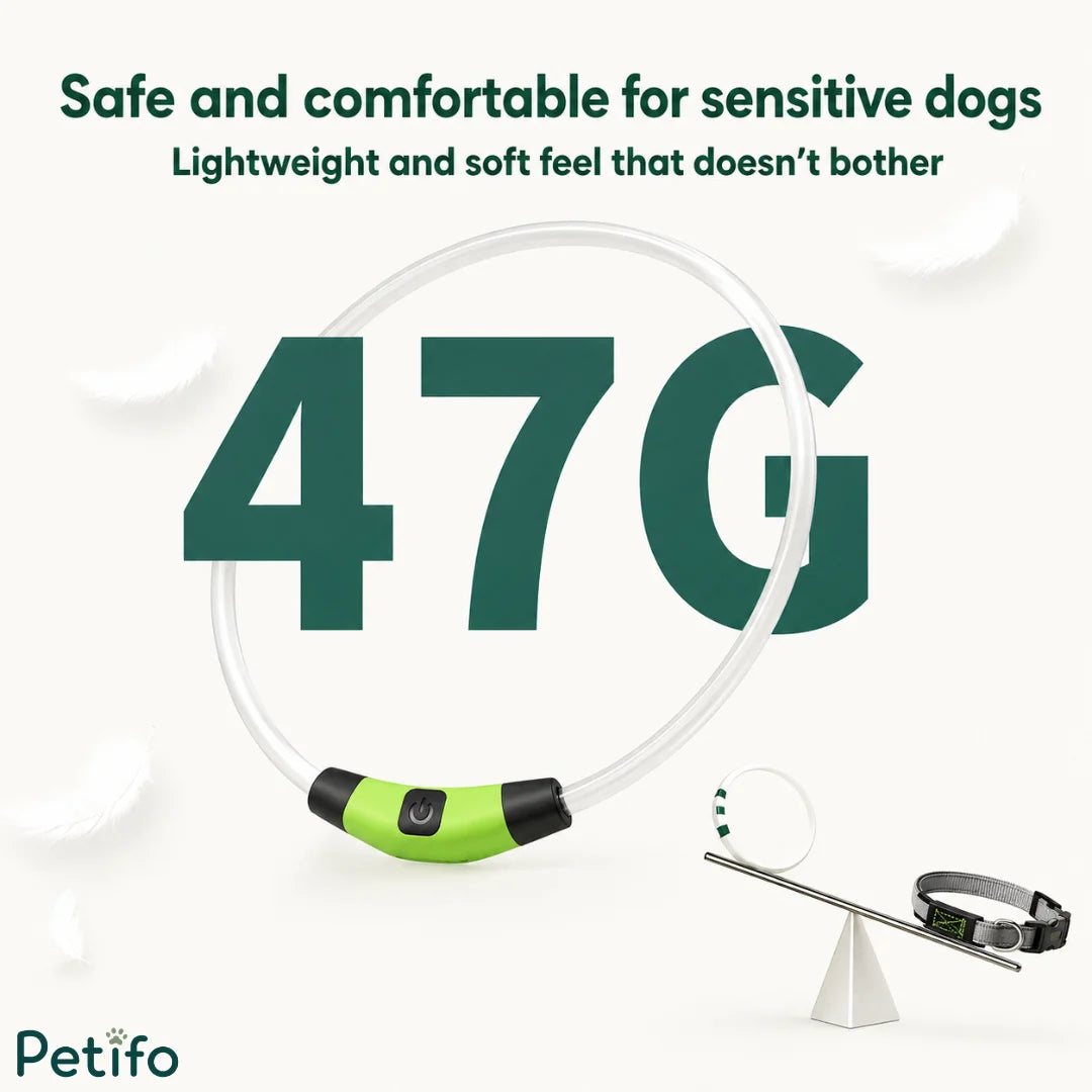 Lightweight 47G glowing dog collar designed for safe and comfortable wear on sensitive pets.