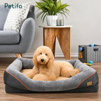 A fluffy, light-colored dog resting comfortably in a soft-bolstered orthopedic pet bed placed in a modern living room setting.