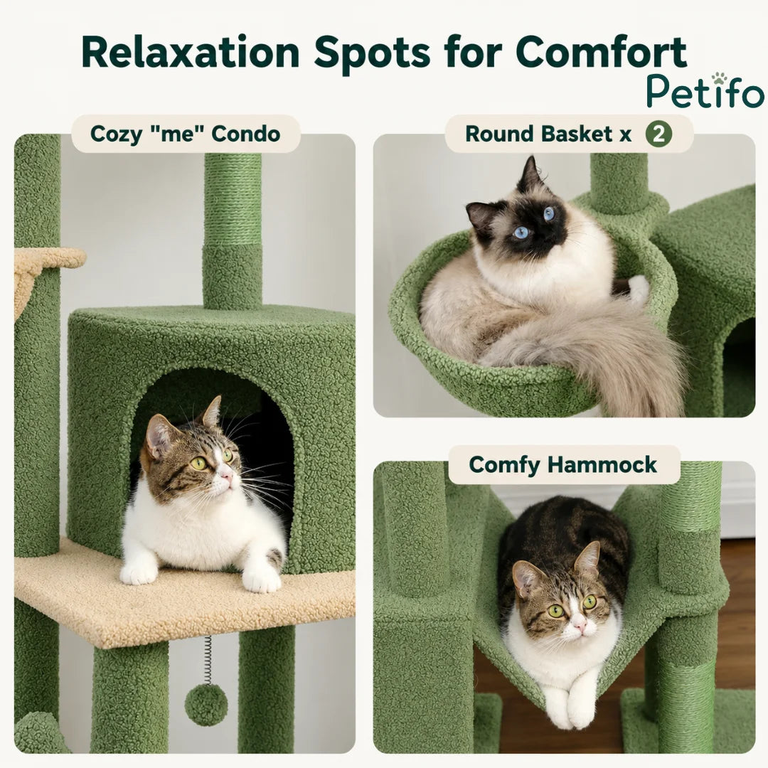 Comparison graphic of cat relaxation features including a cozy condo, two round baskets, and a comfortable hammock.