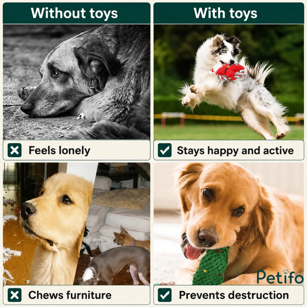 A comparison graphic contrasting dogs without toys—showing a lonely dog and chewed furniture—with dogs using Petifo toys, demonstrating a happy, active dog jumping and a golden retriever preventing destruction by chewing a rope toy.