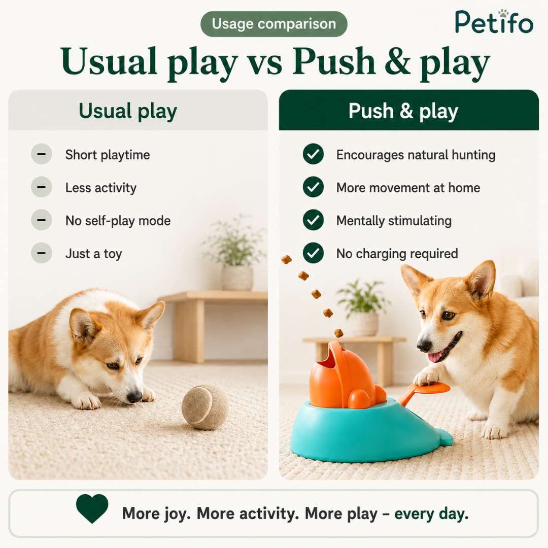 Comparison infographic contrasting traditional play with a tennis ball against the Petifo push-and-play interactive treat launcher.