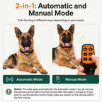 Comparison of automatic and manual training modes for dogs.