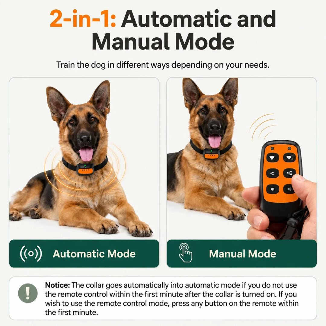 Comparison of automatic and manual training modes for dogs.