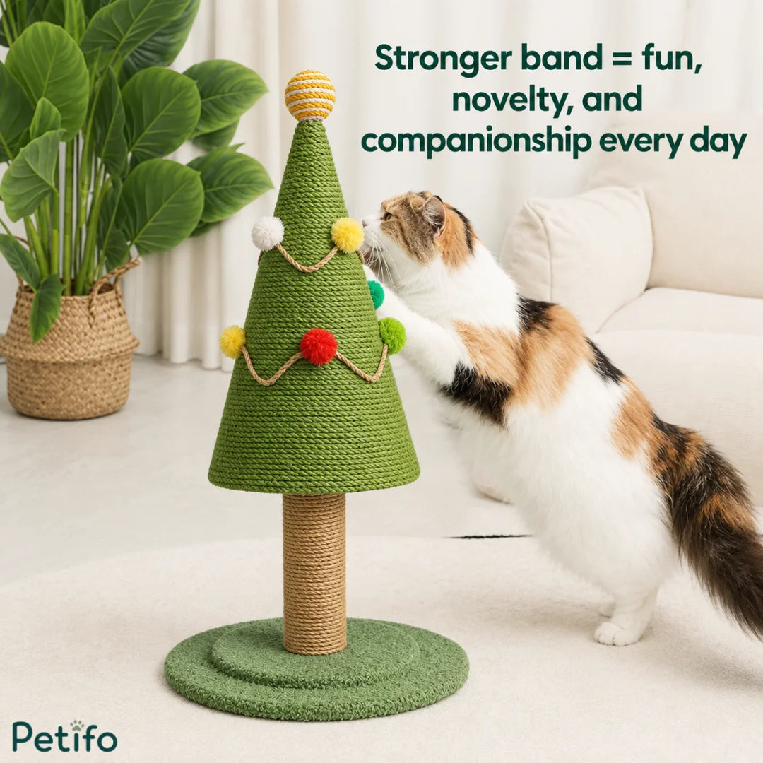 Calico cat playfully stretching and scratching a green cone-shaped Christmas tree scratcher in a cozy living room.