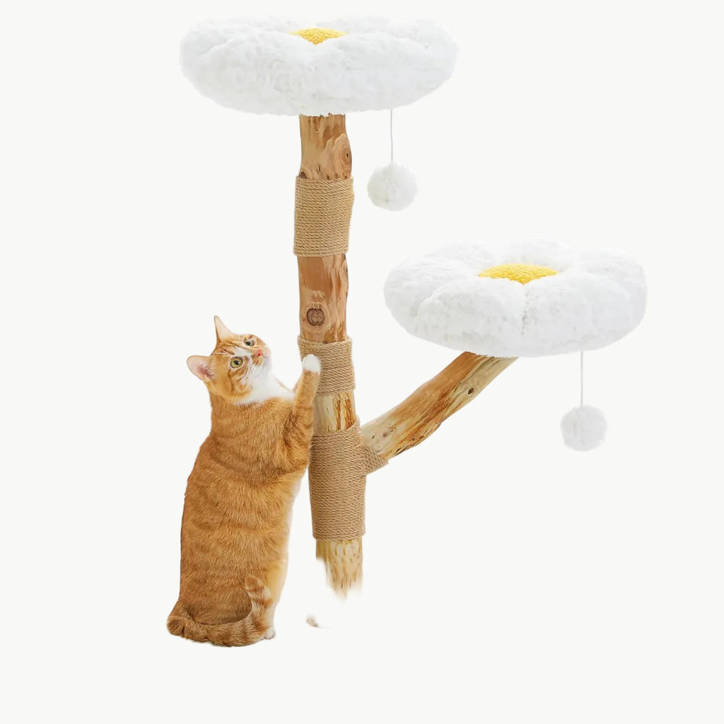 CozyCloud Natural Wood Cat Tree