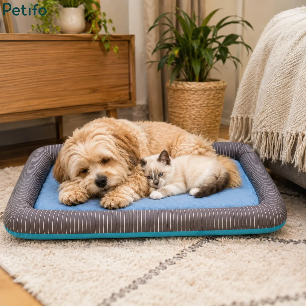 A fluffy dog and a kitten sleeping cozily inside an indoor cooling pet bed.