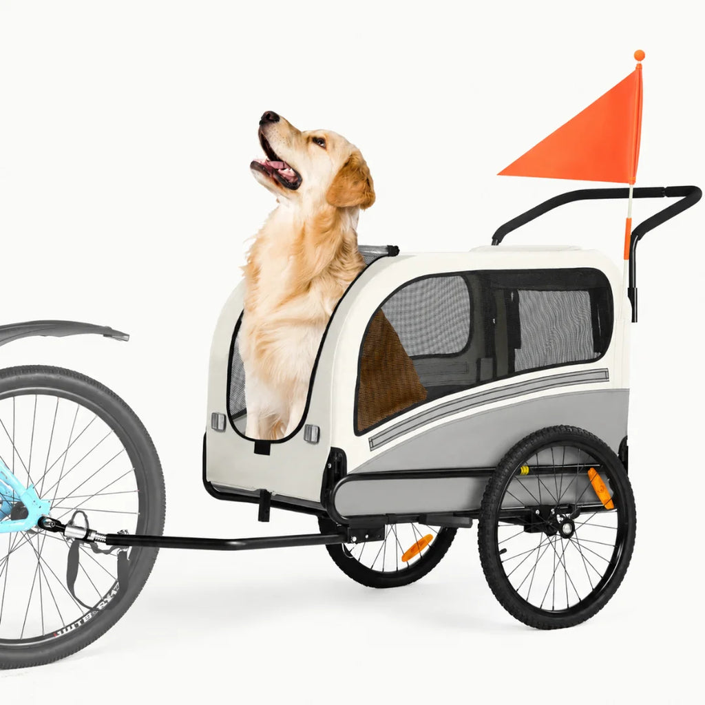 A cream and grey Petifo pet bike trailer featuring a happy golden retriever, orange safety flag, and rear reflectors for visibility.