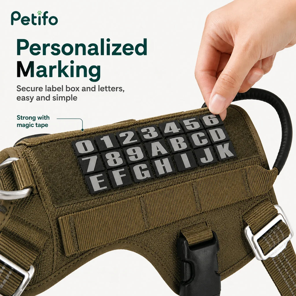 This dog harness features a Velcro surface that allows you to easily attach customizable letters and numbers.