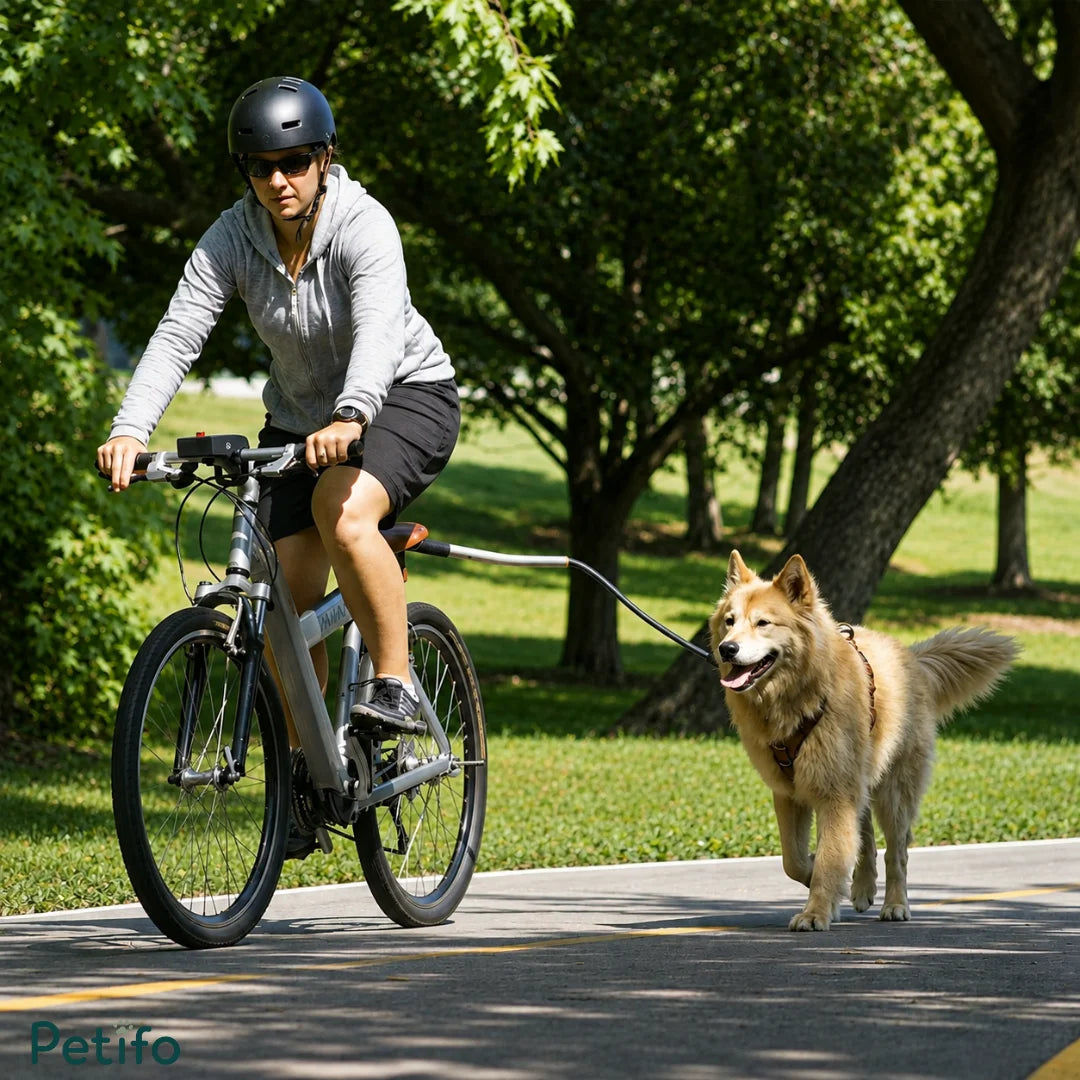 Cyclist riding a bike safely with a fluffy dog using the Petifo bicycle dog leash in a park.
