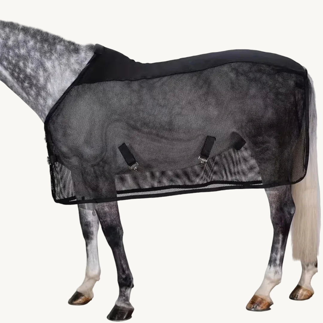 Dappled grey horse standing against a white background while wearing a black fly sheet.