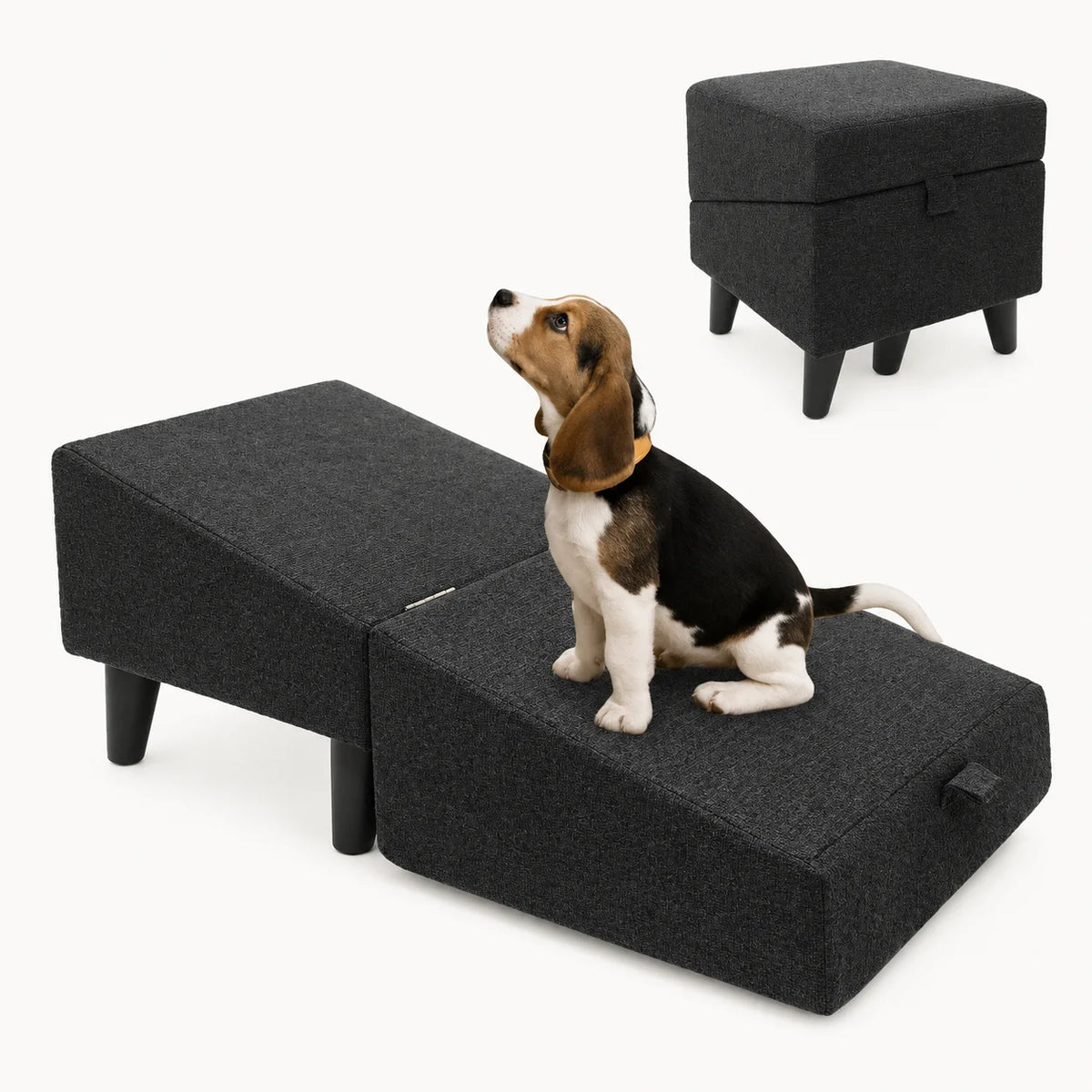Studio hero shot displaying the dark grey/black Lunatto Dog Ramp 2.0 configuration with a beagle puppy.