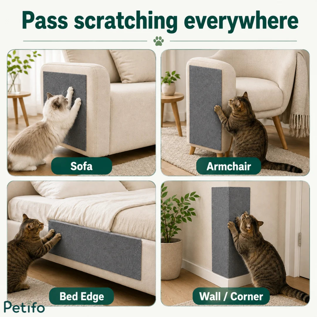 Four-panel image demonstrating versatile placement options for Petifo cat scratch mats on a sofa, armchair, bed edge, and wall or corner.