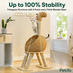 Diagram illustrating the stable, triangular structure and thick wooden base of the dinosaur-shaped cat tree.