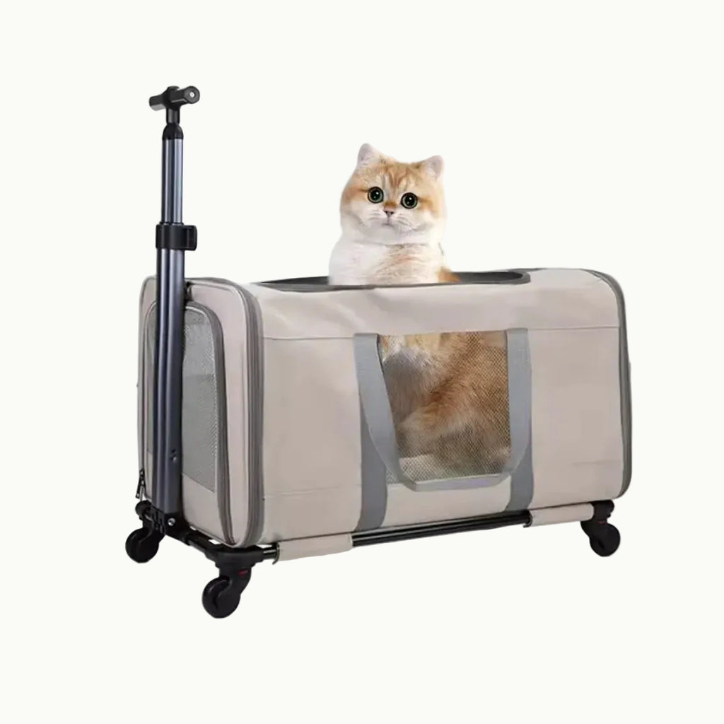 A beige rolling pet travel carrier with wheels and a telescopic handle, displayed a cat.