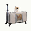 A beige rolling pet travel carrier with wheels and a telescopic handle, displayed a cat.