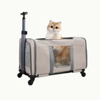 A beige rolling pet travel carrier with wheels and a telescopic handle, displayed a cat.