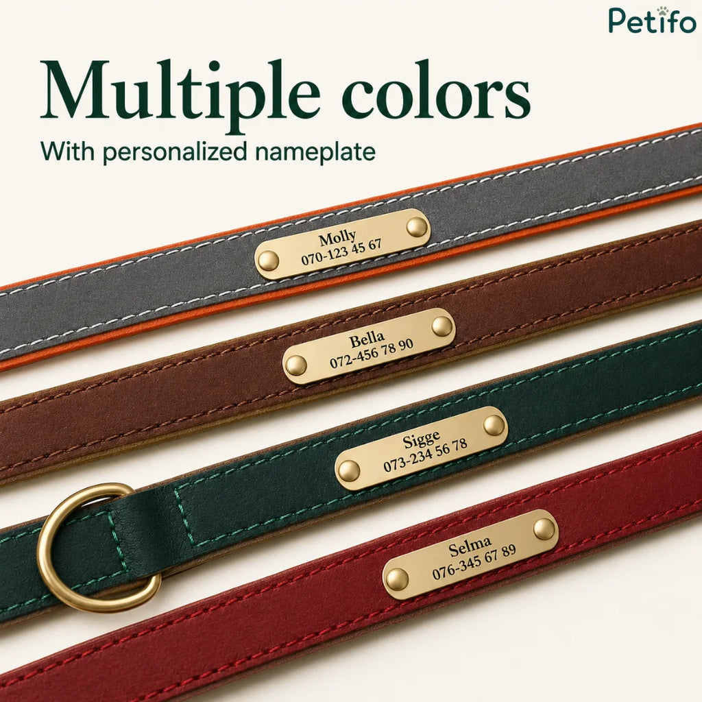 Flat lay display of four distinct leather collar colors (grey, brown, green, and red), each featuring a personalized brass nameplate.