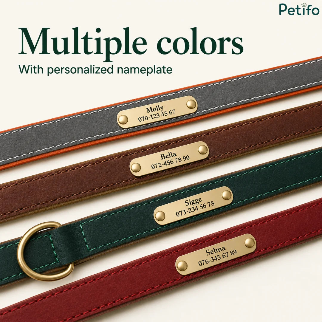Flat lay display of four distinct leather collar colors (grey, brown, green, and red), each featuring a personalized brass nameplate.