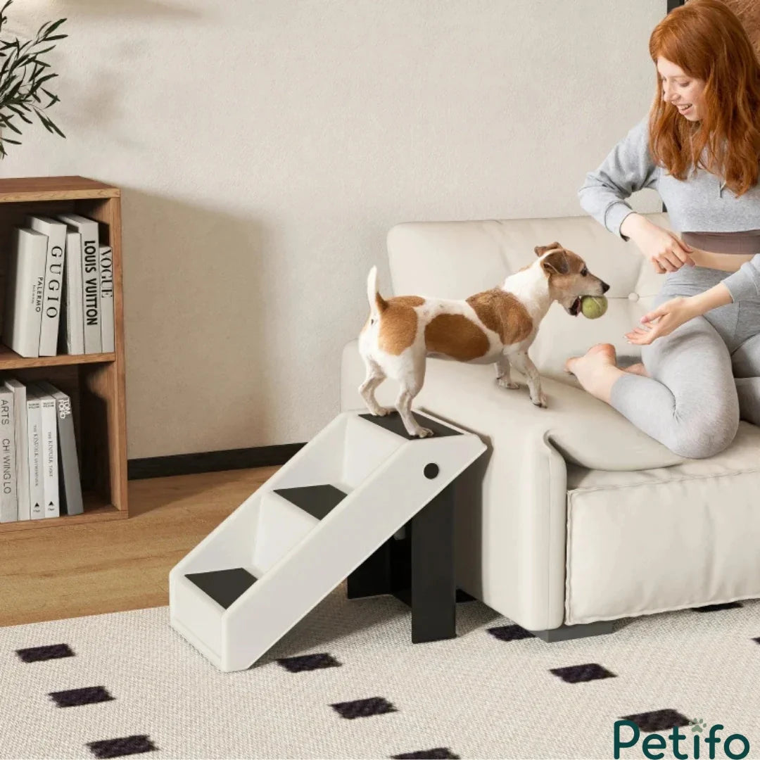 Dog climbing white plastic pet stairs to sofa.