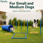 A small and a medium dog enjoying active play using the Petifo dog agility set in a backyard.