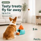 Corgi dog watching a treat fly up to 3 meters away from the Petifo interactive treat launcher during active play.