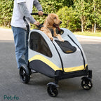A person pushing a Golden Retriever dog riding in a Petifo large dog stroller on an outdoor asphalt road