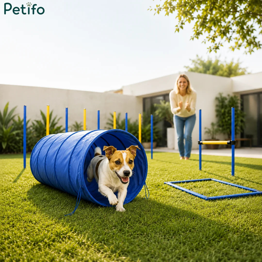 A dog running through a Petifo agility tunnel on a backyard lawn with a pet owner clapping in the background.
