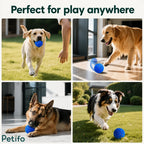 Collage of various dog breeds playing with the blue interactive rolling ball both indoors and outdoors.