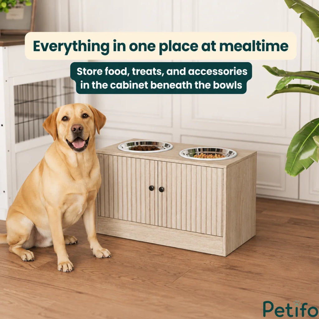 A stylish Petifo elevated feeding station with dual stainless steel bowls, designed to keep the feeding area clean and organized.