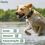 Golden retriever splashing through water while wearing a durable, waterproof LED safety collar.