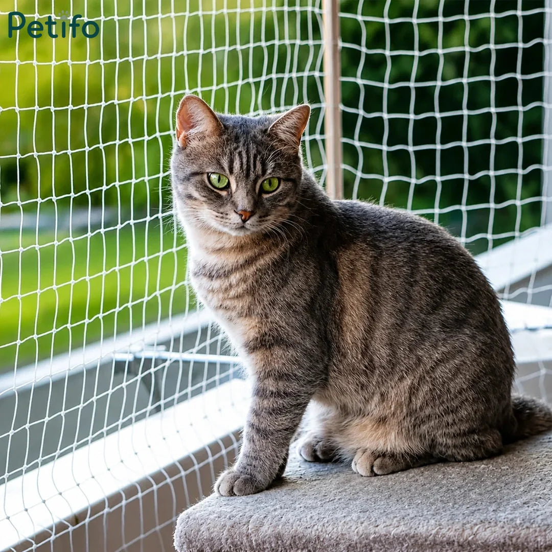 Tabby cat sitting safely on a balcony protected by a durable white cat safety mesh net.