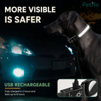 Dark dog wearing an illuminated LED safety collar next to a car headlight at night for enhanced visibility.