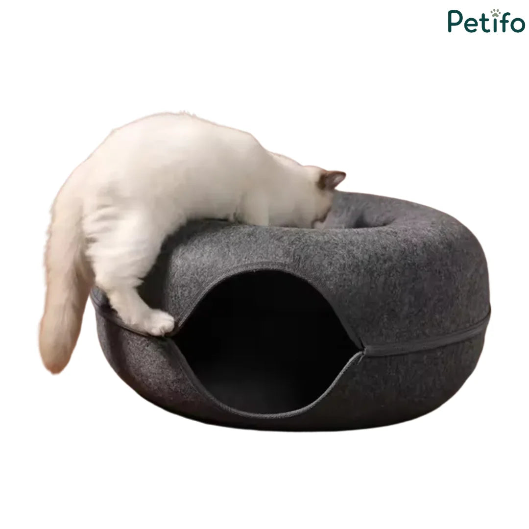 White kitten climbing onto the exterior rim of a dark gray felt cat tunnel bed.