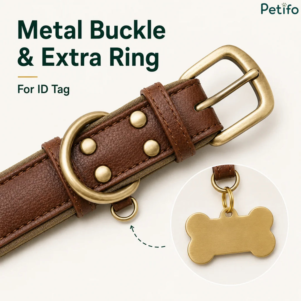 Close-up of the heavy metal buckle and extra D-ring designed specifically for attaching an ID tag.