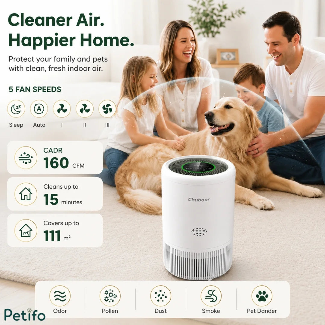 Features overview of the Chuboor smart air purifier for homes.