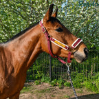 Brown horse wearing a maroon and white fleece-padded halter outdoors.