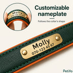Close-up view of a green leather pet collar with a curved brass nameplate matching the collar's contour, and an inset showing flexibility.