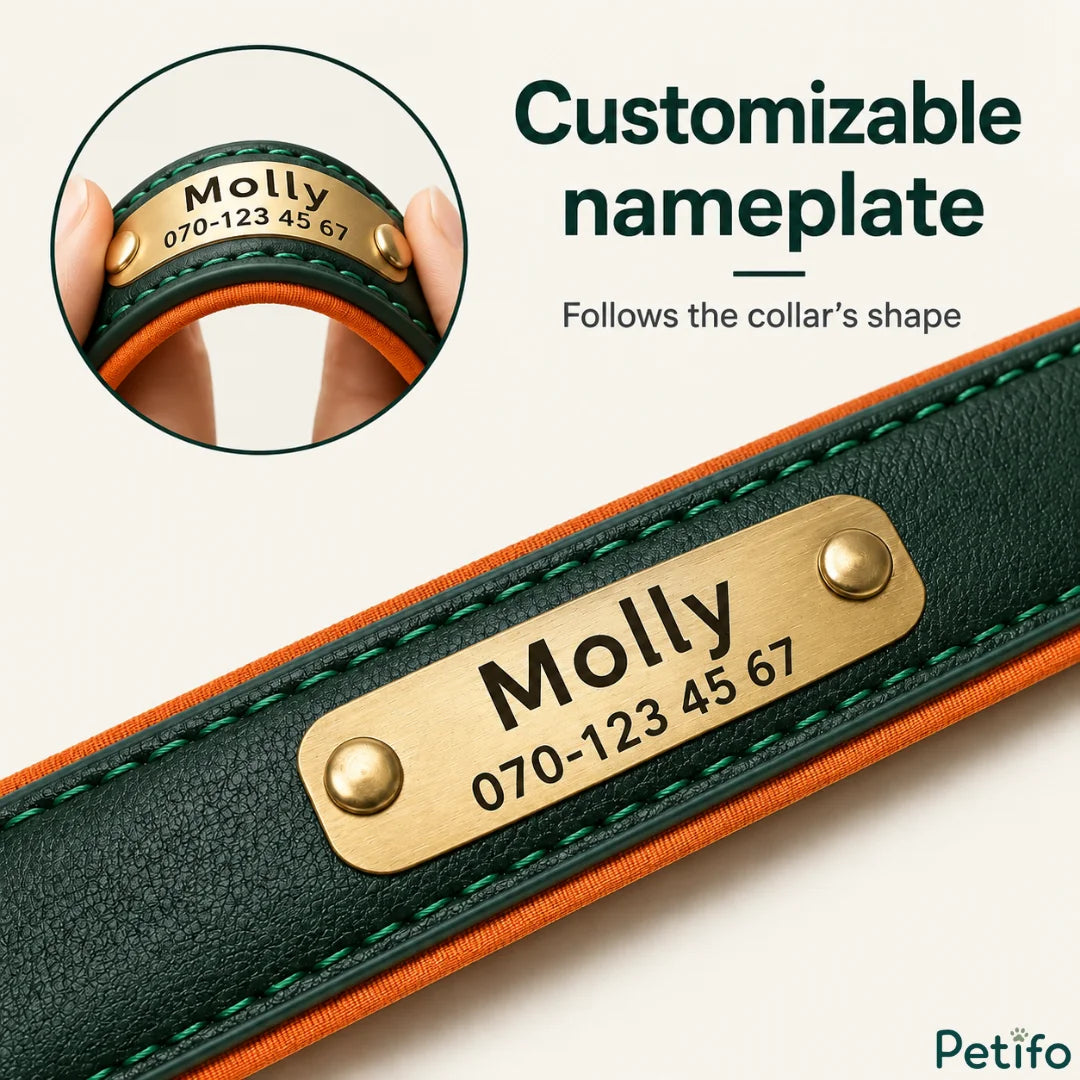 Close-up view of a green leather pet collar with a curved brass nameplate matching the collar's contour, and an inset showing flexibility.