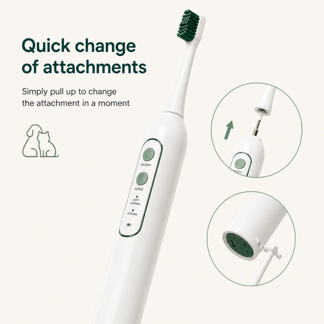 Diagram demonstrating how to quickly change the brush heads and water floss nozzles on an electric pet toothbrush.