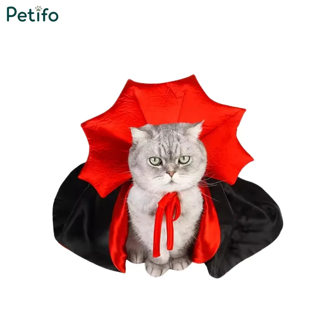 Front-facing studio shot of a gray cat wearing the Petifo black and red vampire costume against a clean white background.