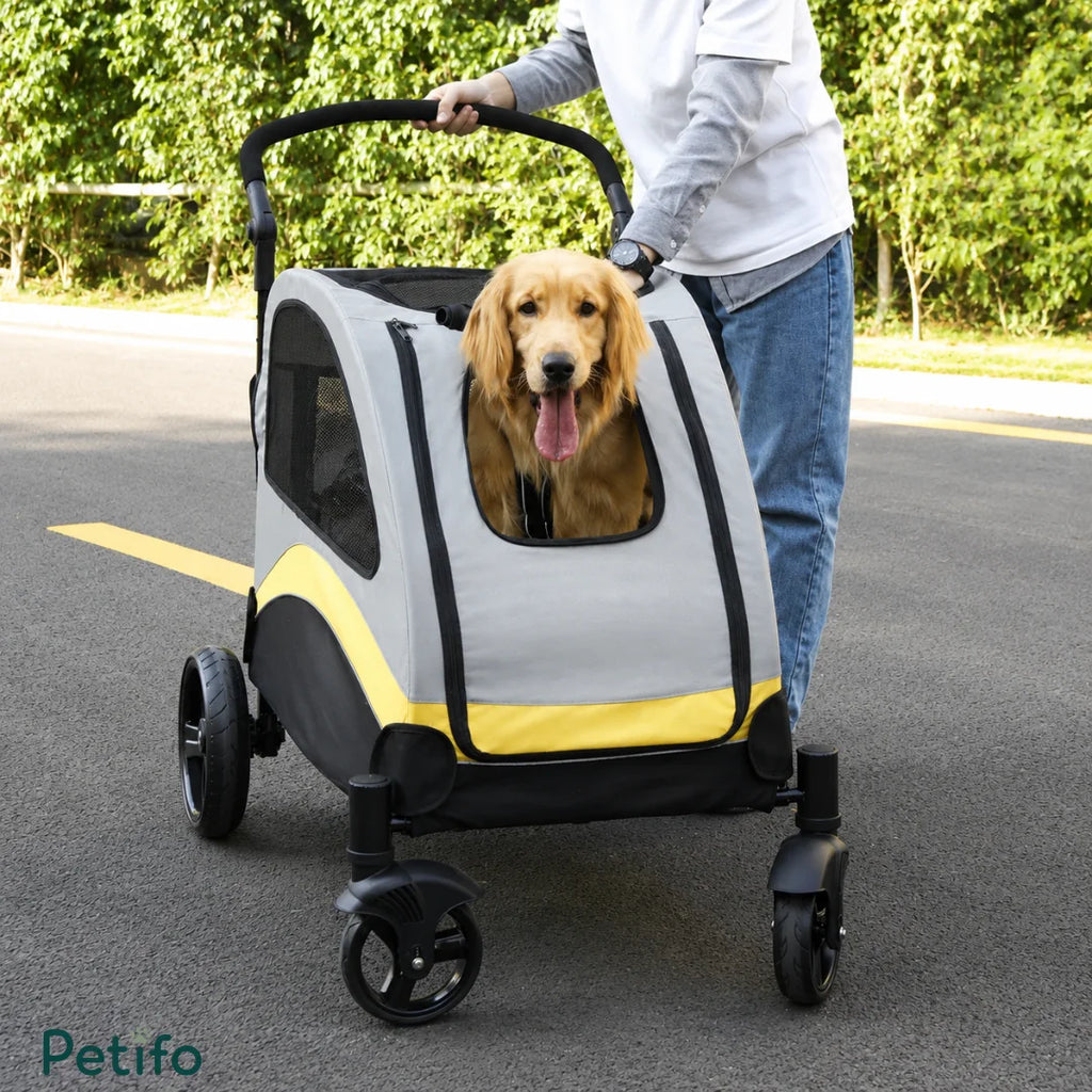 Front view of a Golden Retriever looking out of a Petifo pet stroller for large dogs on a paved road