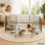 Two small dogs resting inside the spacious, fully assembled circular playpen indoors.