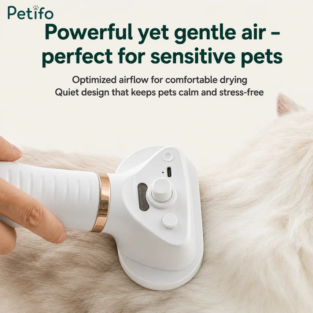 Close-up of a person using a quiet, gentle-airflow electric pet grooming brush on a fluffy white cat.