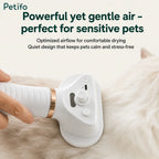 Close-up of a person using a quiet, gentle-airflow electric pet grooming brush on a fluffy white cat.