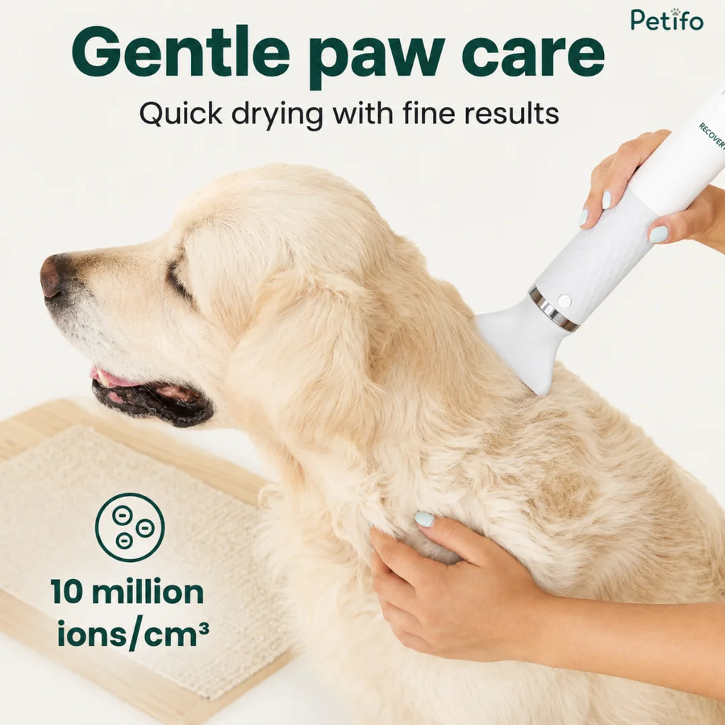 Petifo pet dryer delivering gentle care with 10 million negative ions per cubic centimeter for quick drying results.