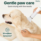 Petifo pet dryer delivering gentle care with 10 million negative ions per cubic centimeter for quick drying results.