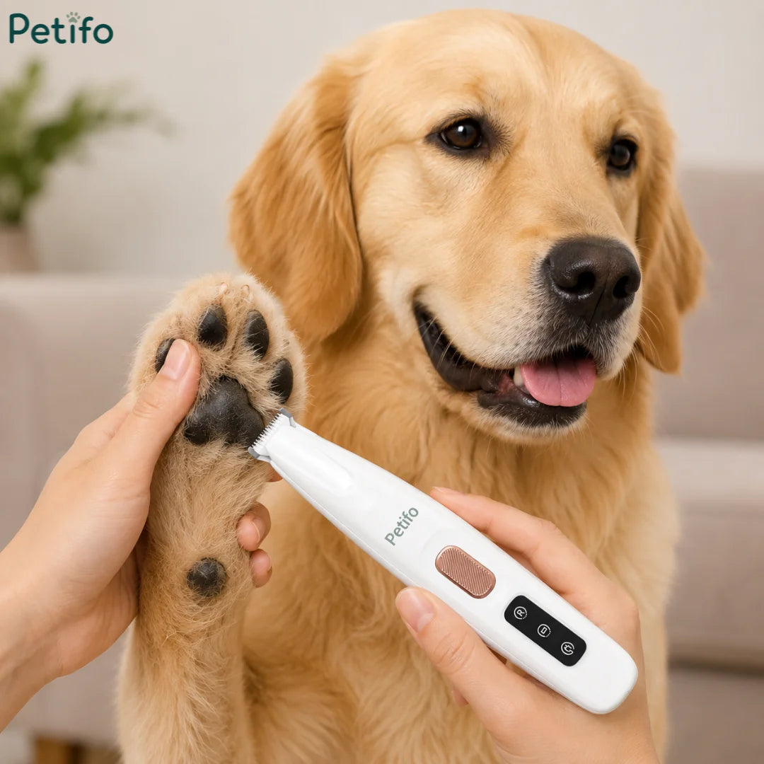 A smiling golden retriever having the hair on its paw gently trimmed with a compact white grooming tool.