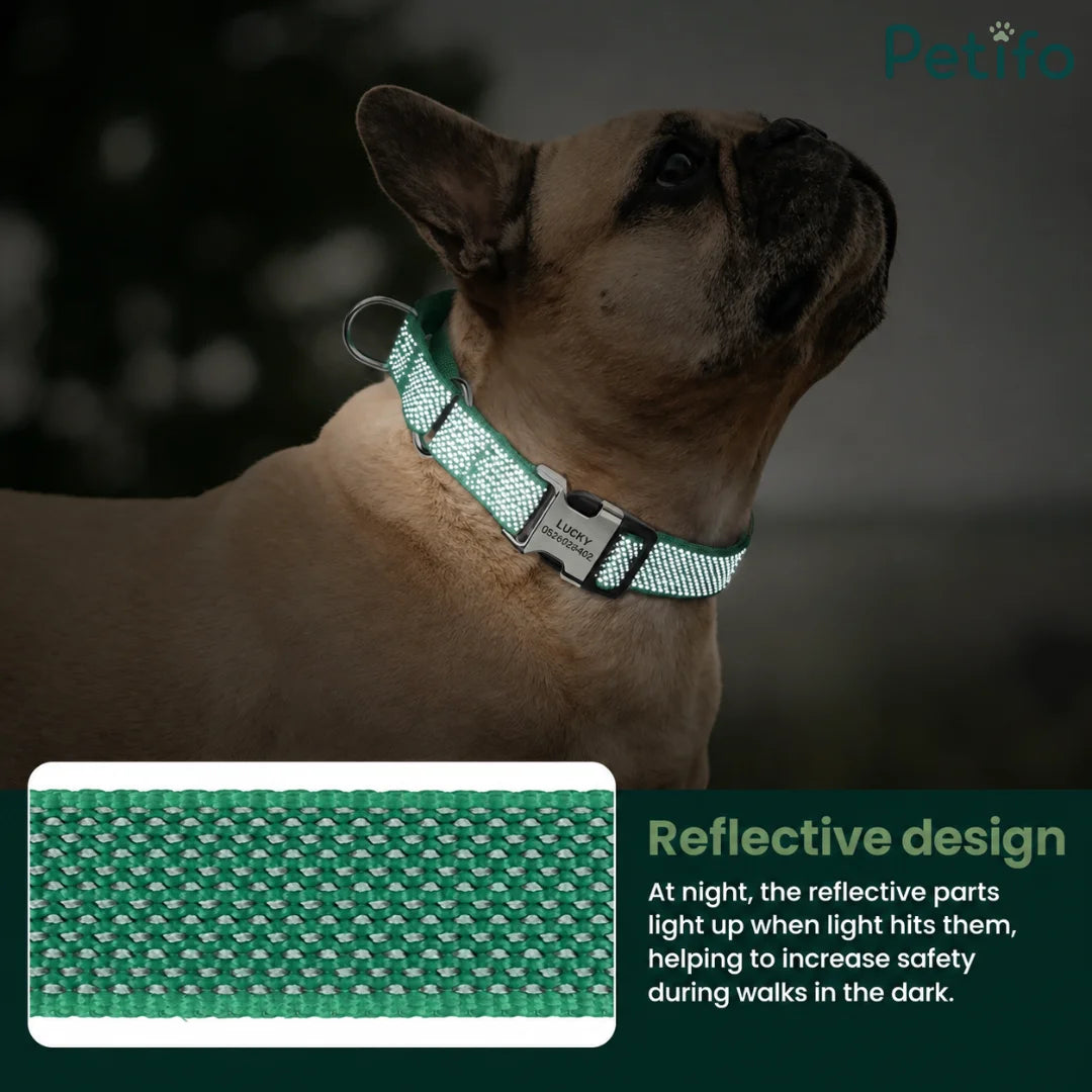 French bulldog wearing a glowing green reflective dog collar for safe nighttime walks.